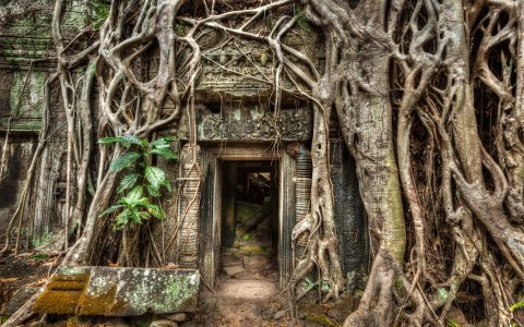 Kambodża z DiscoverAsia - przygoda z plecakiem (4).jpg